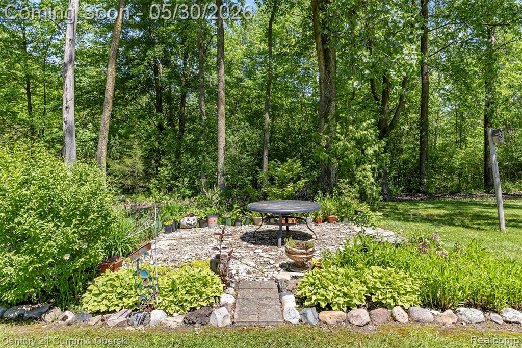 38894 S Huron Road, New Boston, MI 48164 — Photo 32