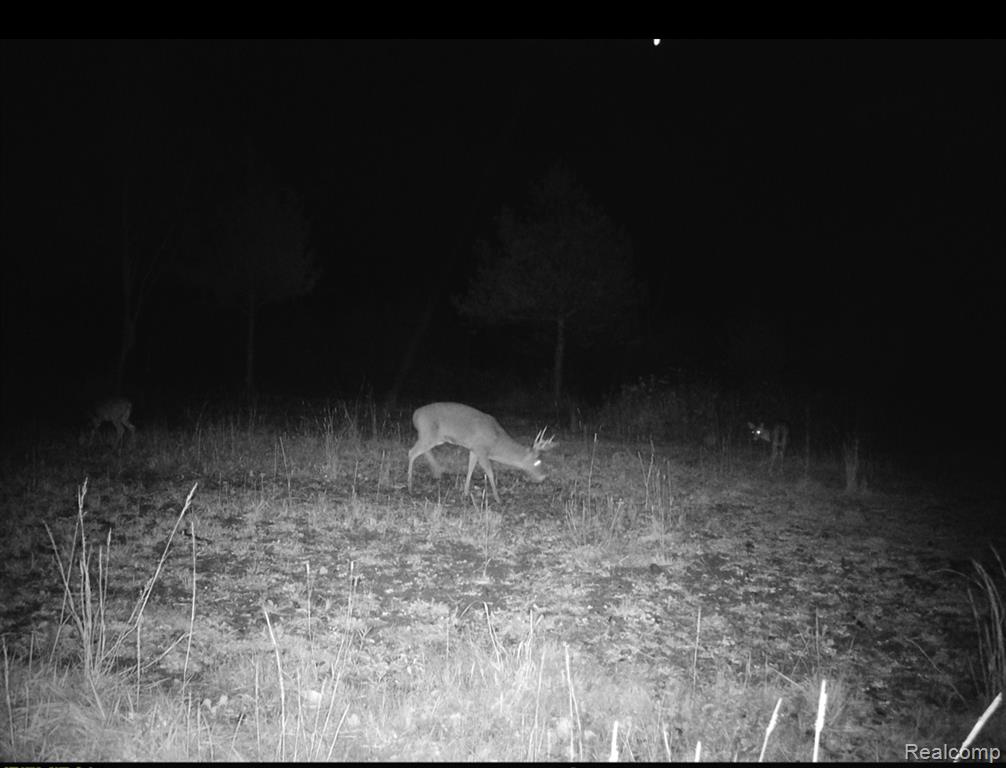 VACANT LAND S. PLAIN Road, Caro, MI 48723 — Photo 18
