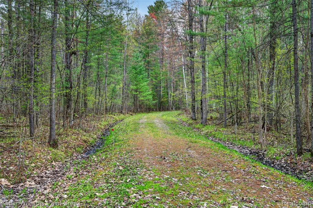 v/l E Pinecrest Drive, Gladwin, MI 48624 — front exterior