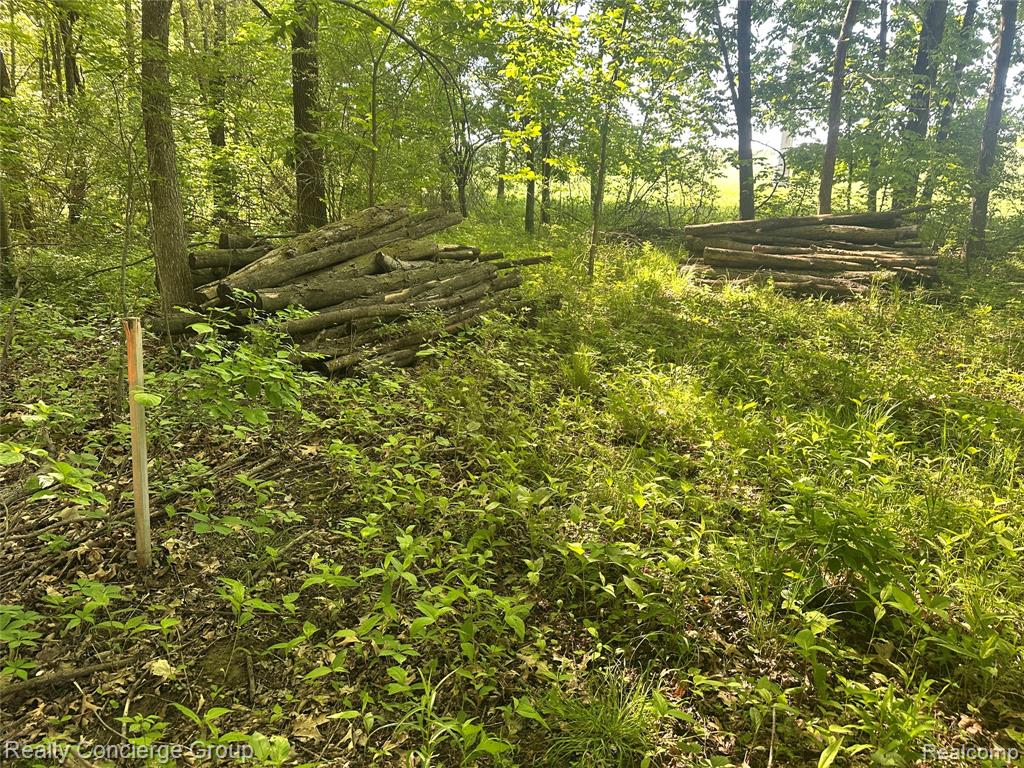 2681 Fisk Road, Howell, MI 48843 — Photo 11