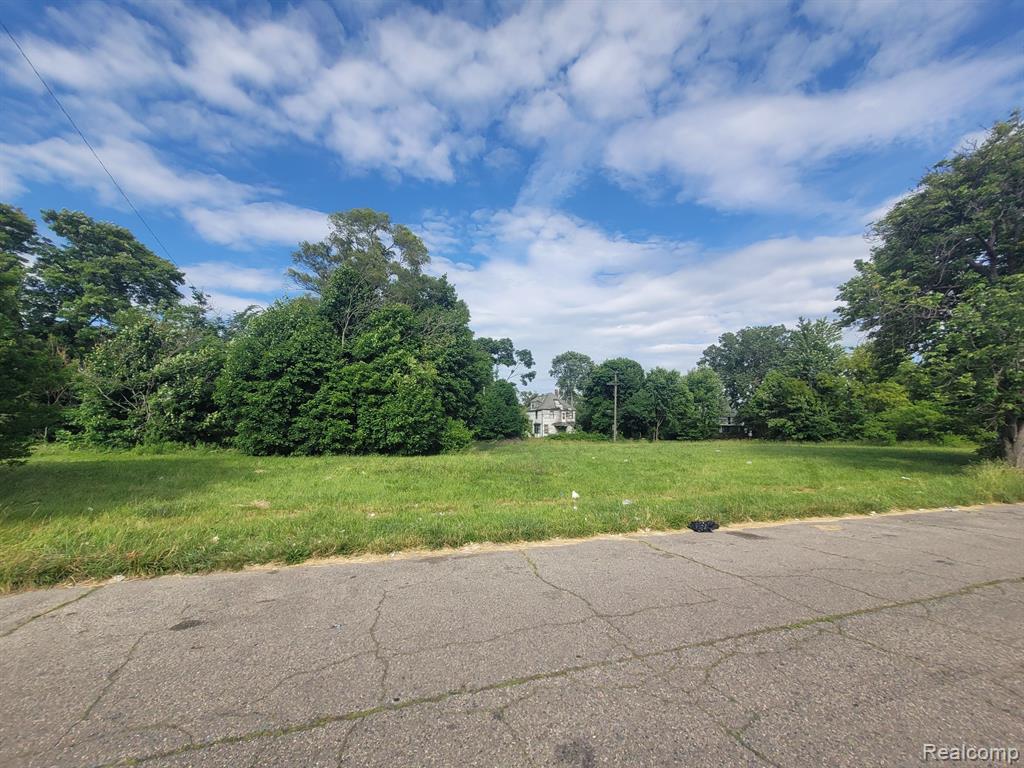 4804 SHERIDAN Street, Detroit, MI 48214 — Photo 5