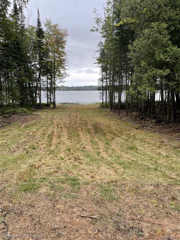 Lot# 11 Western, MI — Photo 12