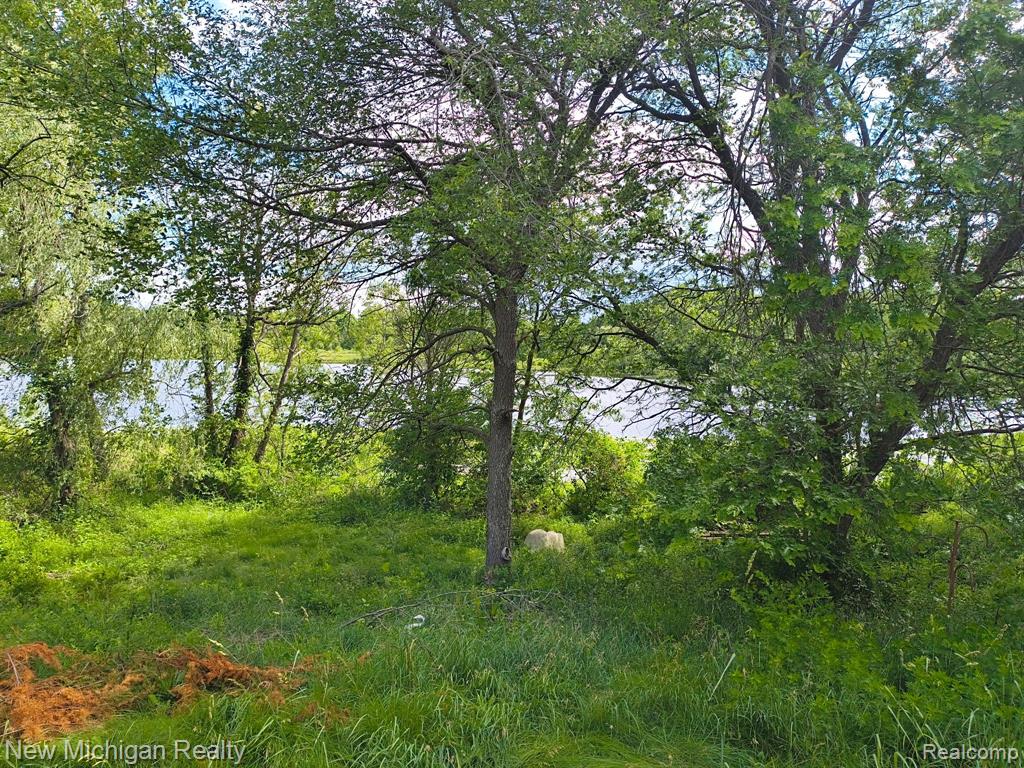 17221 W US HIGHWAY 223, Addison, MI 49220 — Photo 5