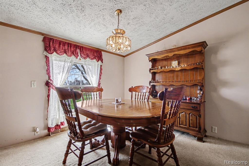 7689 Sidney Road, Greenville, MI 48838 — Photo 8