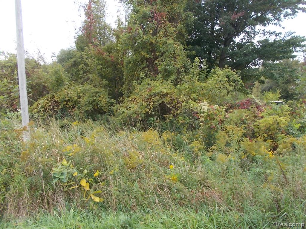 No Number Shay Lake Road, Mayville Vlg, MI — front exterior