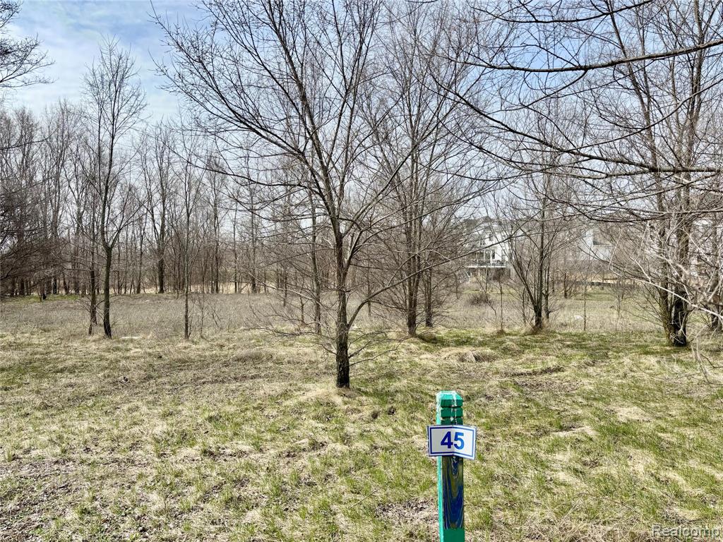 4448 Ford Avenue, Linden, MI 48451 — front exterior