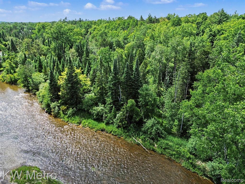 N/A Franklin Trail, Sterling, MI 48749 — Photo 2