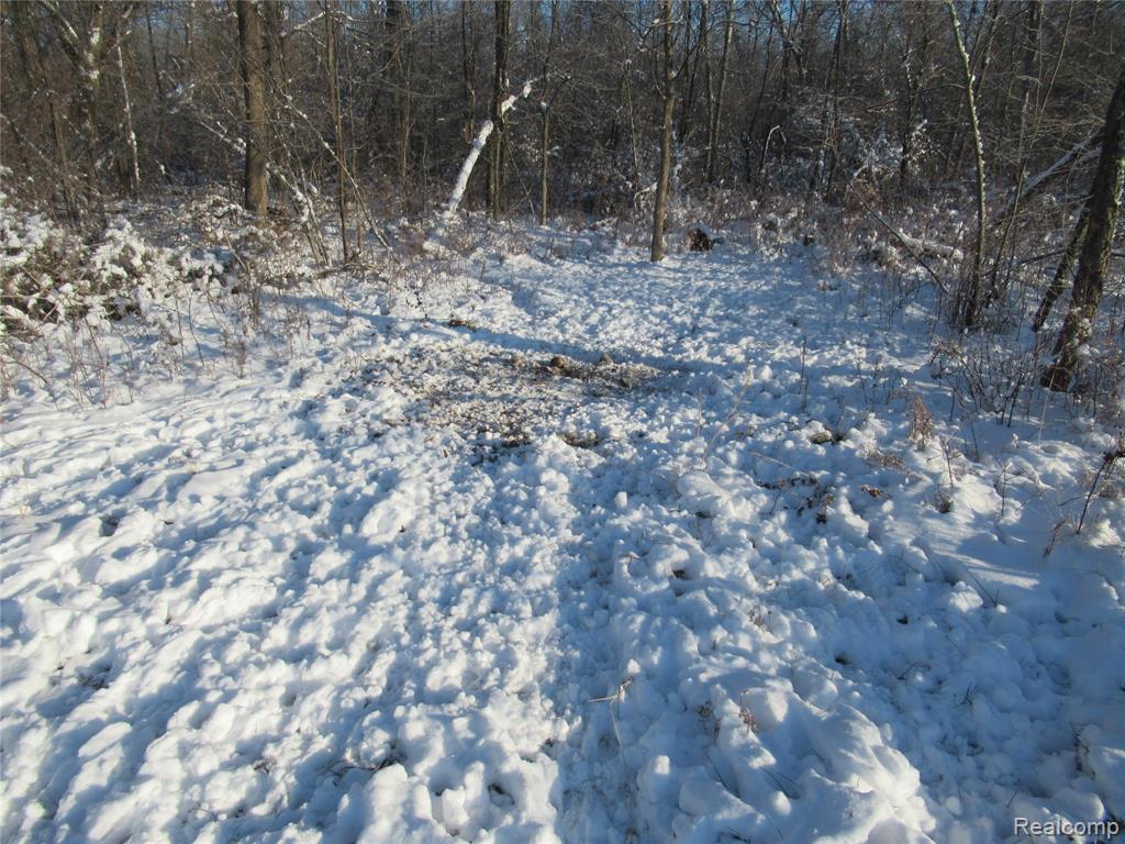 VACANT LAND S. PLAIN Road, Caro, MI 48723 — Photo 8