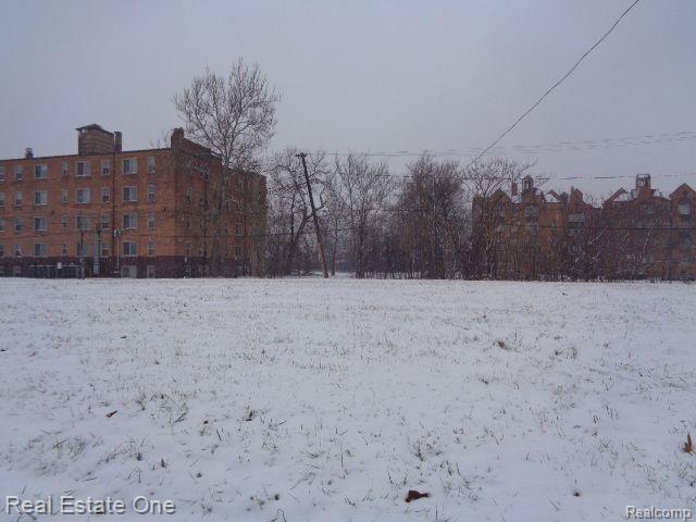2736 ROCHESTER Street, Detroit, MI 48206 — Photo 5