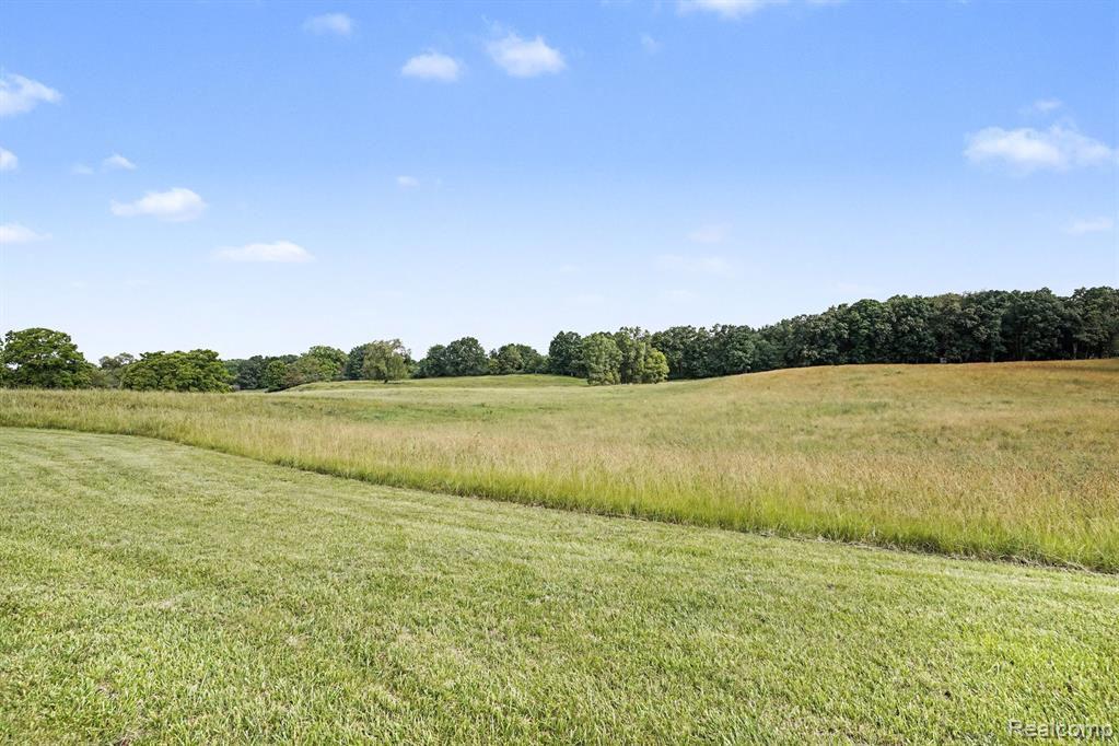 8751 Bath Road, Byron, MI 48418 — Photo 26