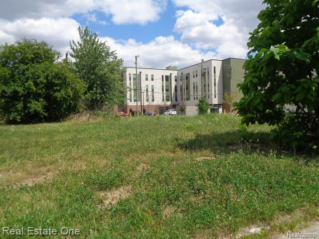 3354 15th Street - Photo 3