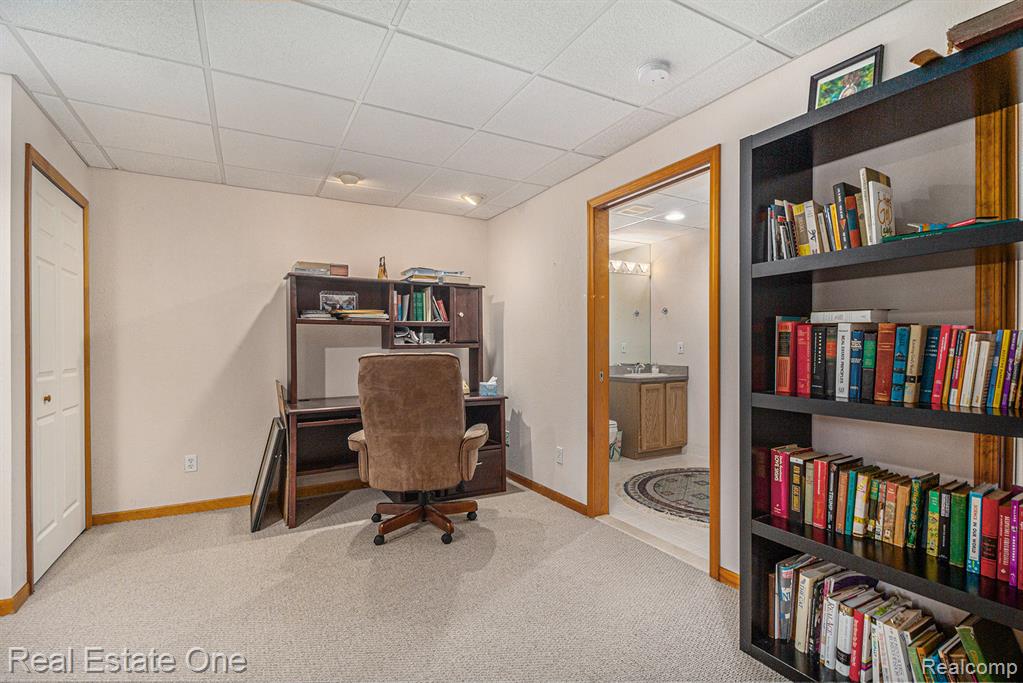 3125 N Tipsico Lake Road, Hartland, MI 48353 — Photo 27