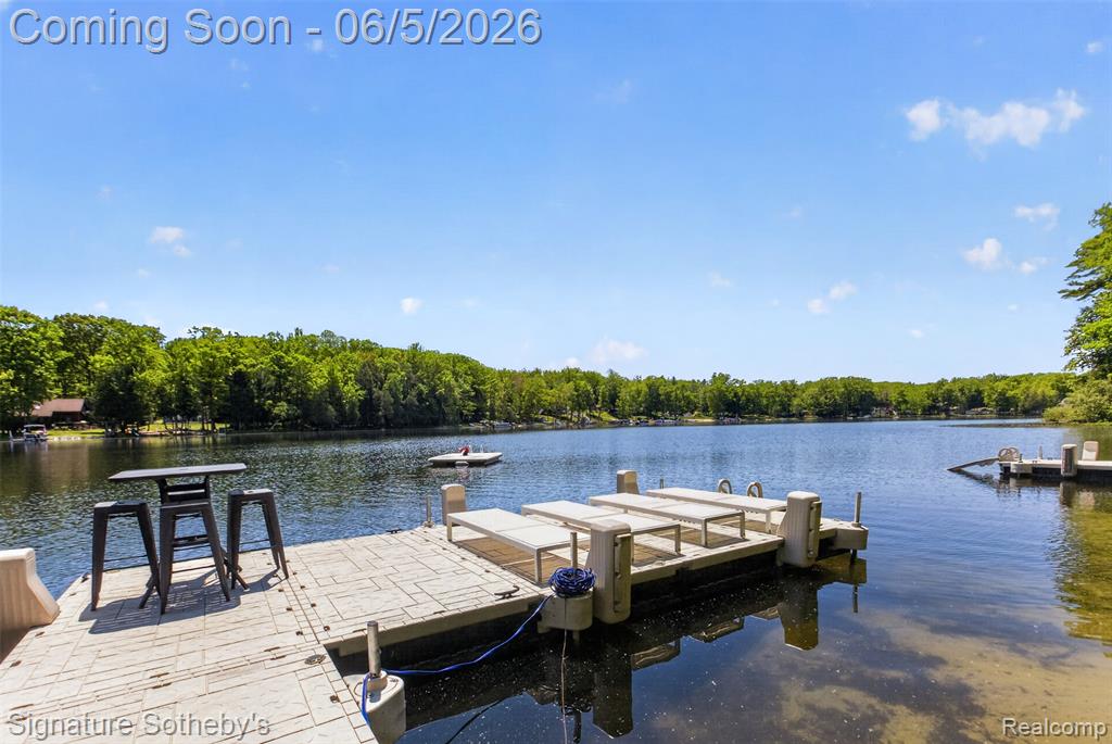 5084 N Birch Avenue, Fountain, MI 49410 — Photo 6