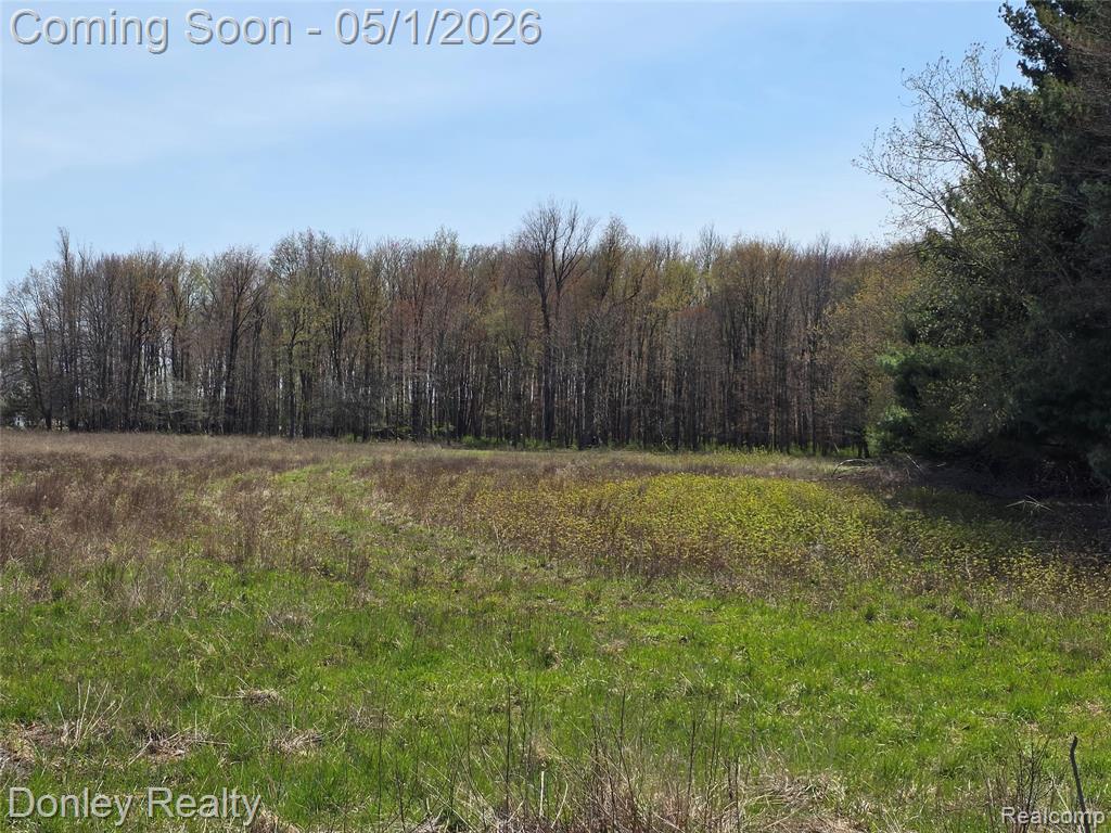 V/L Hyde Road, MI 48419 — front exterior