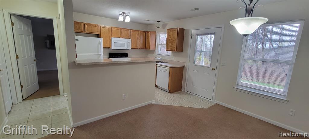 775 Cattail Lane, Pinckney, MI 48169 — Photo 3
