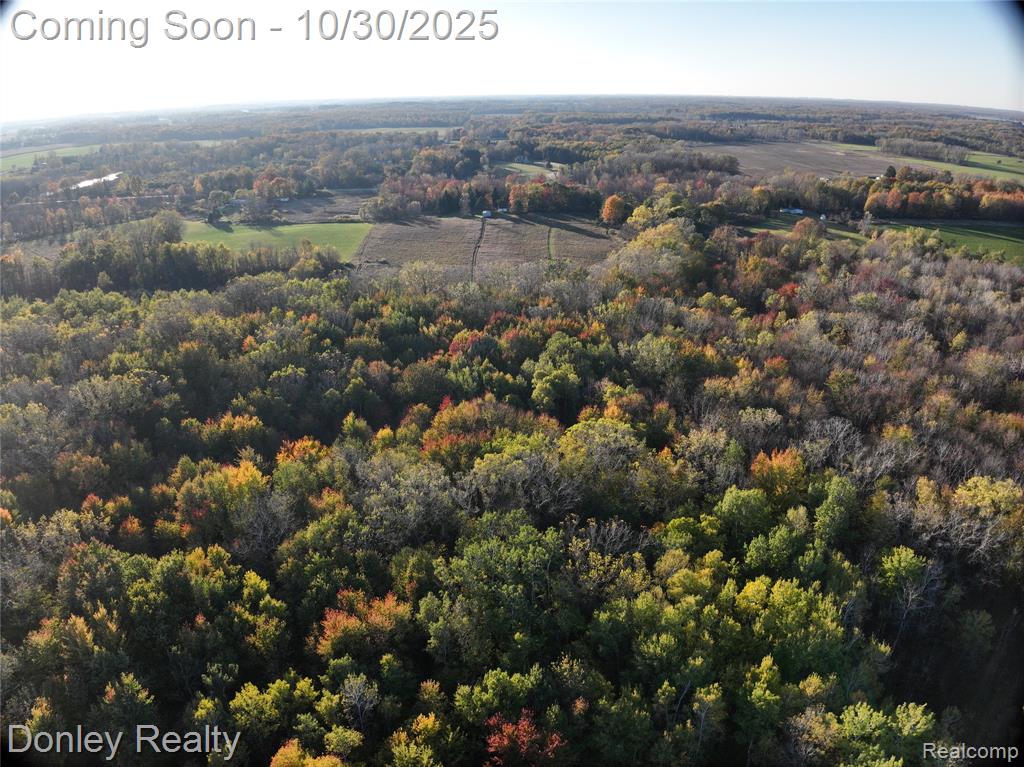 1300 N Van Dyke Road, Marlette, MI 48453 — Photo 23