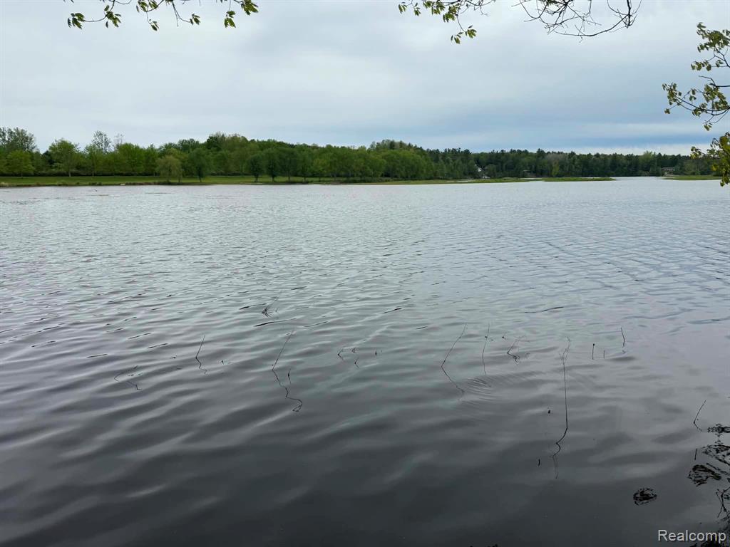 5994 N Lake Sanford Road, Sanford, MI 48657 — Photo 6
