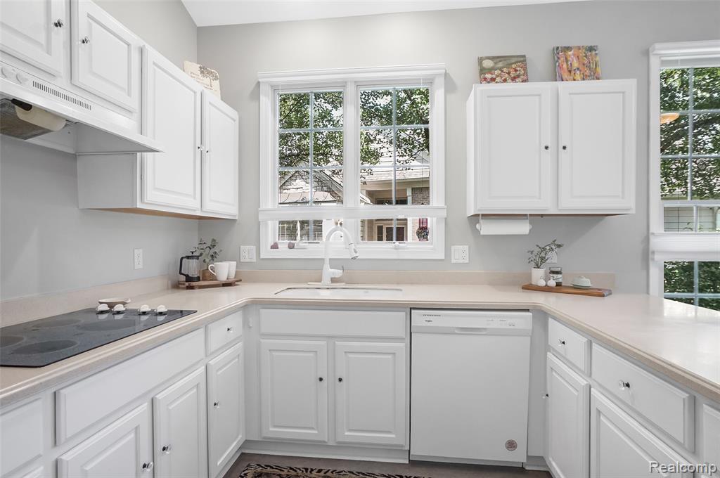 16822 Lochmoor Circle W, Northville, MI 48168 — Photo 20
