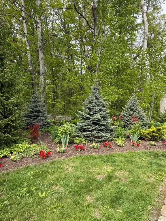 6523 JONES Road, North Branch, MI 48461 — Photo 59