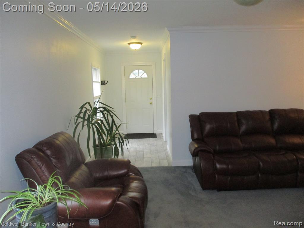 4610 Van Amberg Road, Brighton, MI 48114 — Photo 11