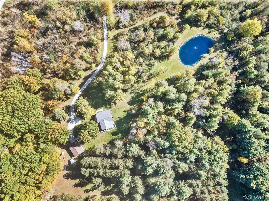 6613 BLACK RIVER Drive, Grant, MI 48032 — Photo 50