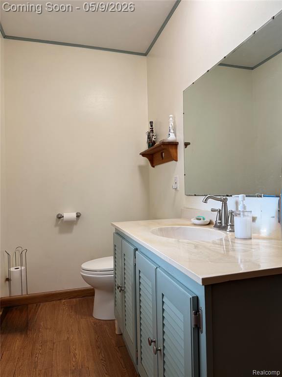 1412 S Byron Road, Lennon Vlg, MI 48449 — Photo 9