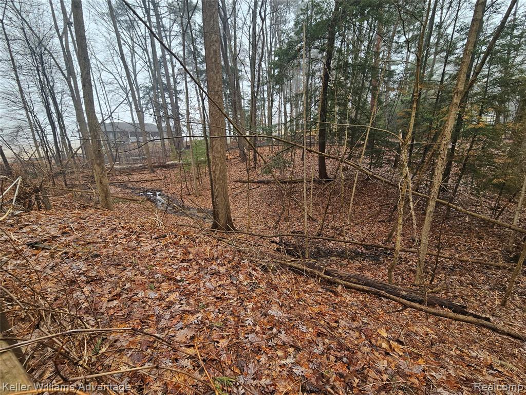 525 W Benway Road, Sanford, MI 48657 — Photo 30