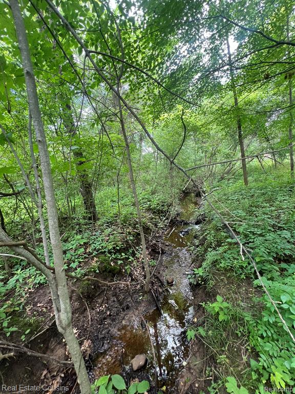 5440 Lobdell Road, Fenton, MI 48430 — Photo 8