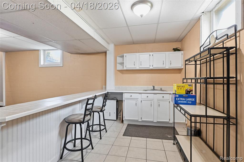 503 W Hamburg Street, Pinckney, MI 48169 — Photo 26