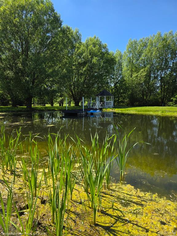 717 N Youngs Road, Attica, MI 48412 — Photo 81