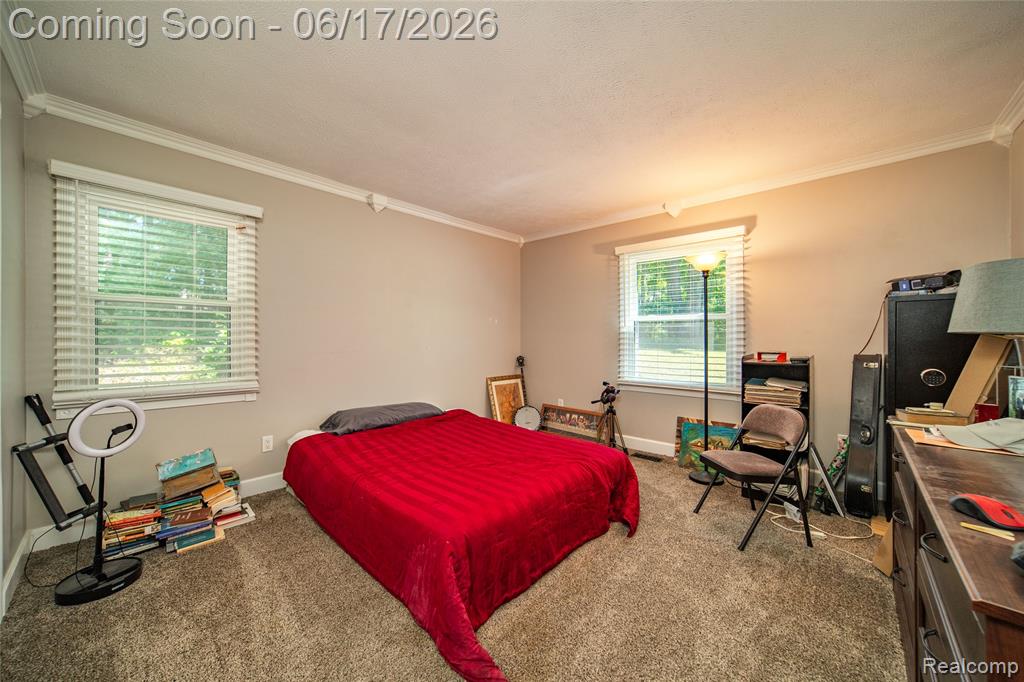 2915 Dunsary Lane, Brighton, MI 48114 — Photo 18
