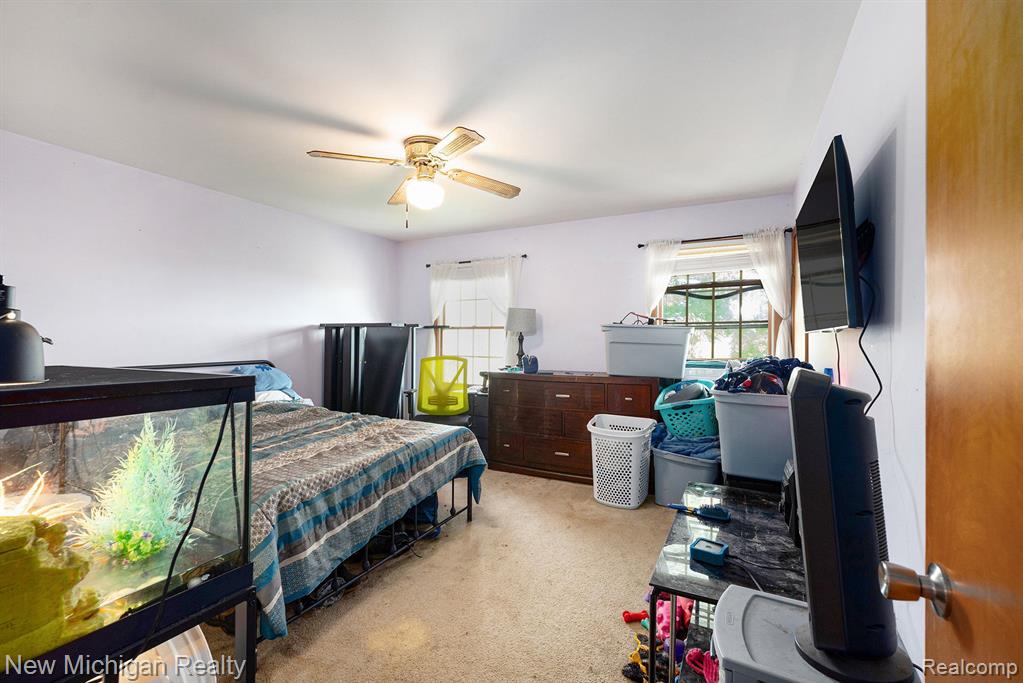 5155 CARRIGAN Road, Clyde, MI 48049 — Photo 17