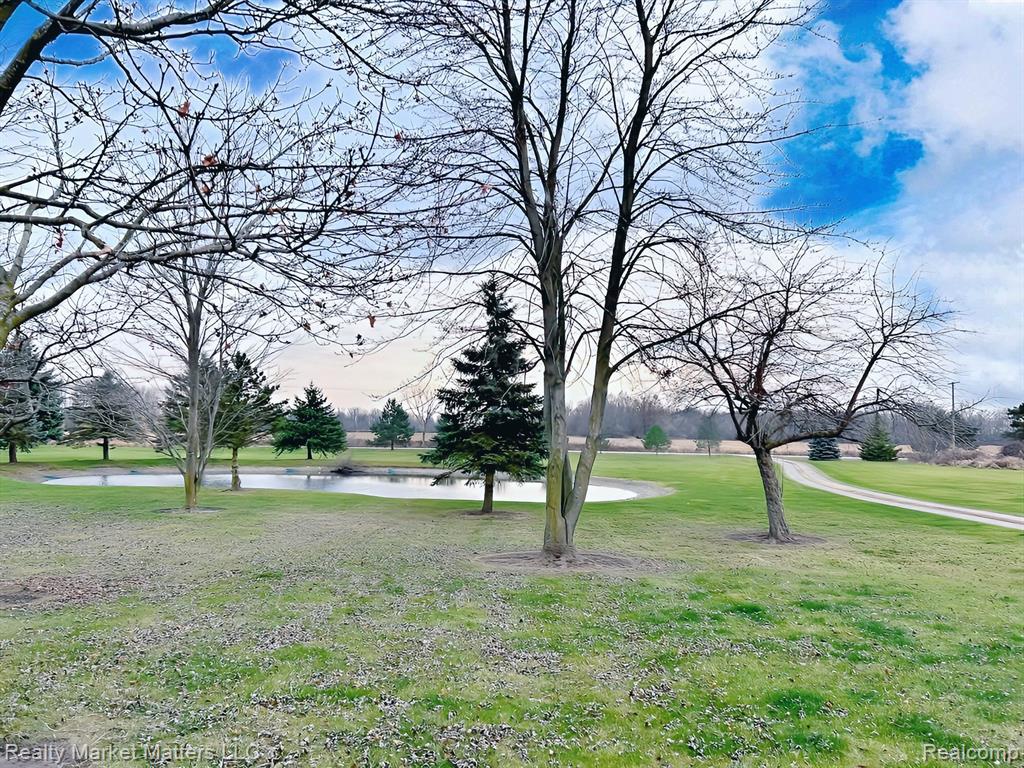 14118 KOEHN Road, Capac, MI 48014 — Photo 3