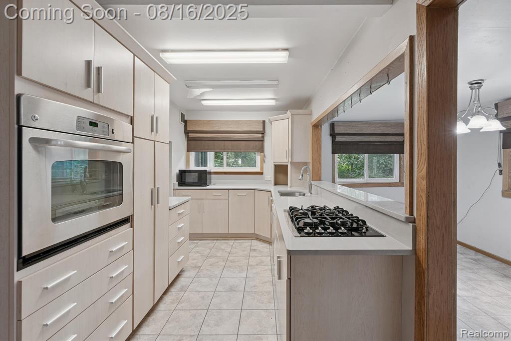 4539 N 5th Street, Luna Pier, MI 48157 — Photo 12