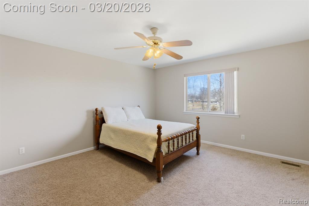 35950 Tamarack Court, New Baltimore, MI 48047 — Photo 23