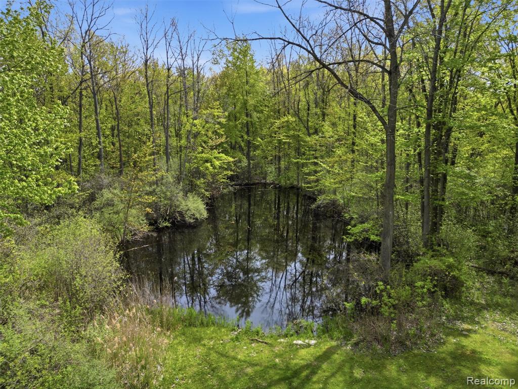 5790 Roberts Road, Cottrellville, MI — Photo 18