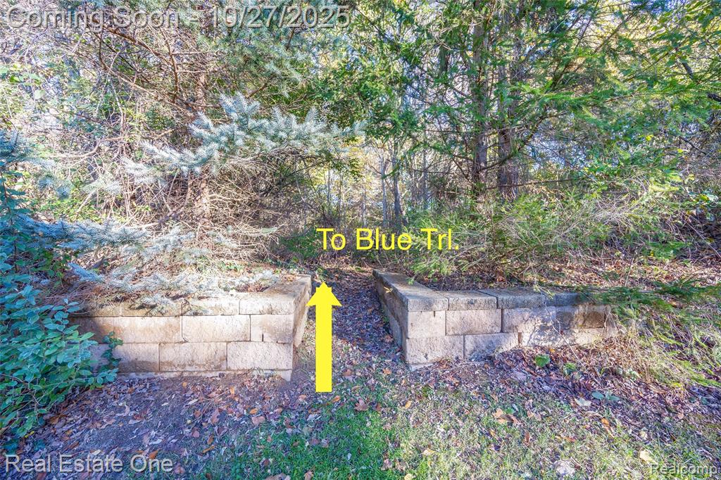 11426 Wolfort Spur, 41, Brighton, MI 48116 — Photo 9