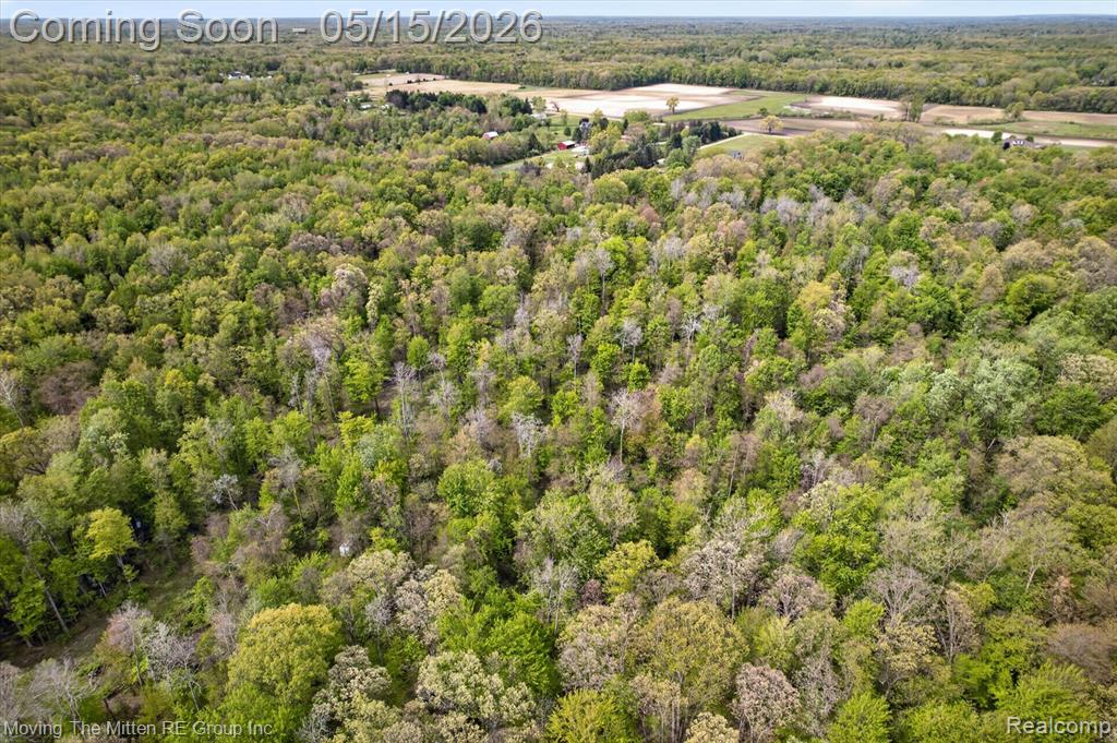 22530 Bohn Road, Belleville, MI 48111 — Photo 16