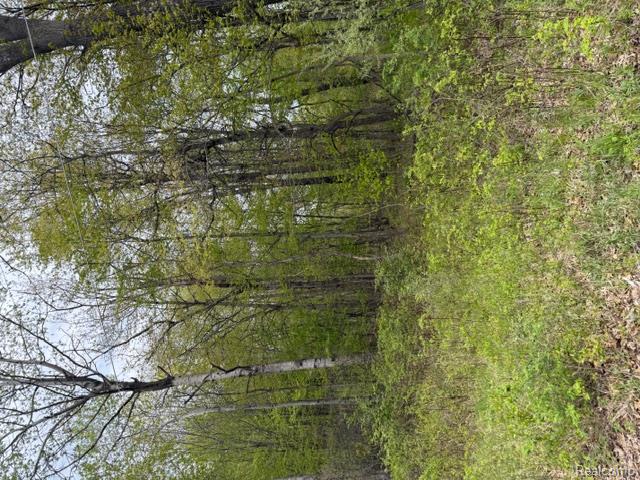 V/L Green Creek Ln, Oxford, MI 48371 — Photo 7