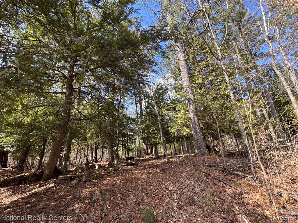 4233 Hardacre Trail, Houghton Lake, MI 48629 — Photo 20