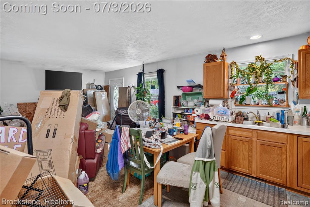 407 E Elizabeth Street, Eaton Rapids, MI 48827 — Photo 10