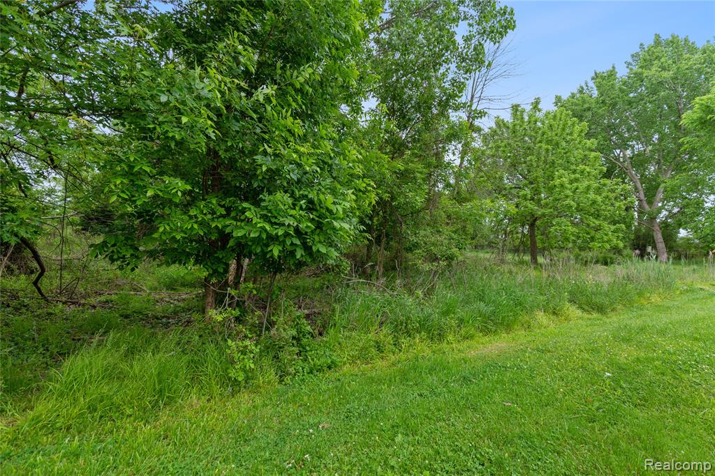 39562 Macomber Street, Harrison Township, MI — Photo 22