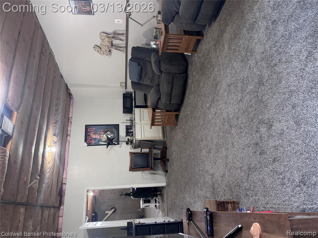 6060 INTRINSIC Lane, Imlay City, MI 48444 — Photo 24