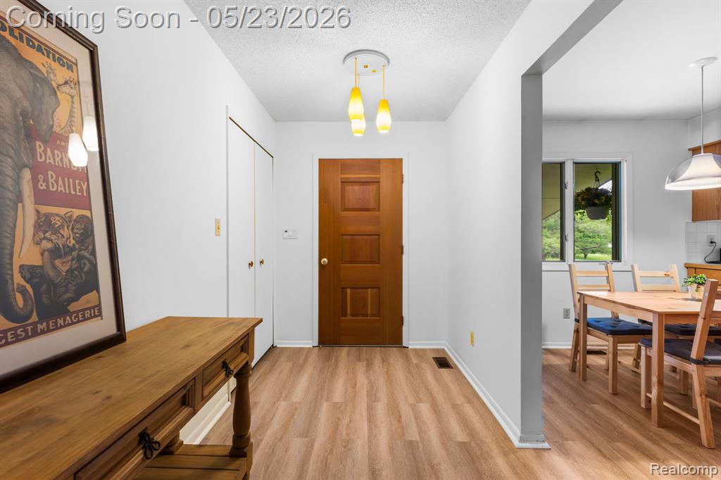 14148 Hayrake Hollow, Chelsea, MI 48118 — Photo 10