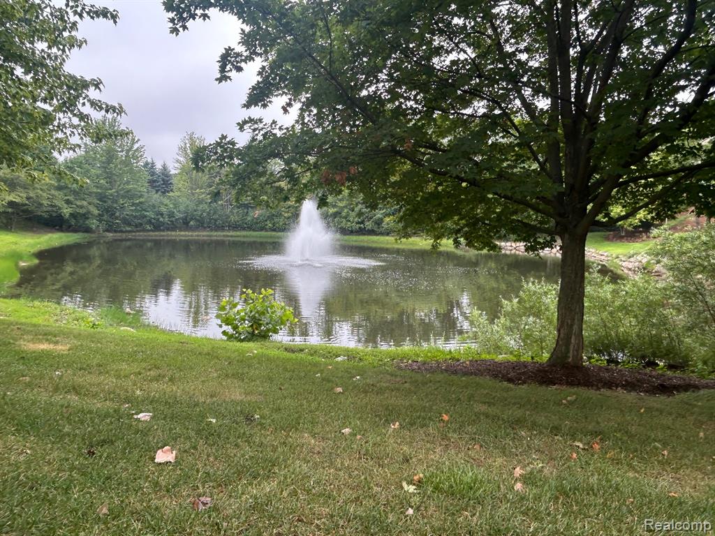 39798 ROCKCREST Circle, Northville, MI — Photo 39