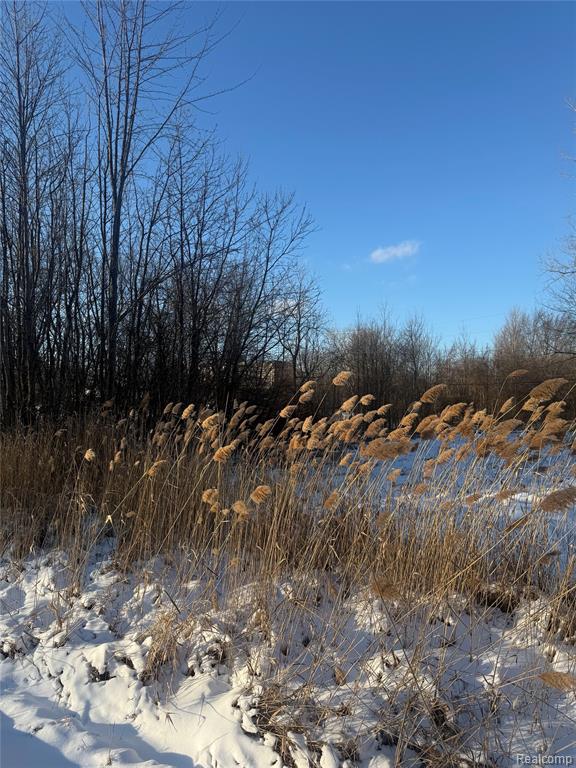 Search Homes for Sale