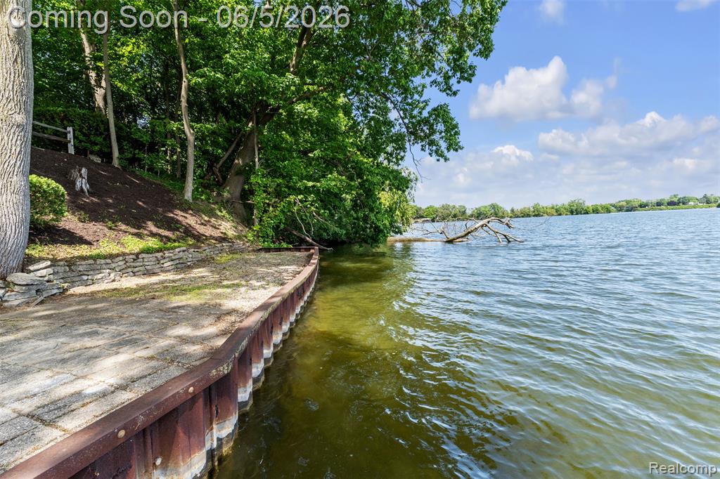 47435 N Shore Drive, Belleville, MI 48111 — Photo 59