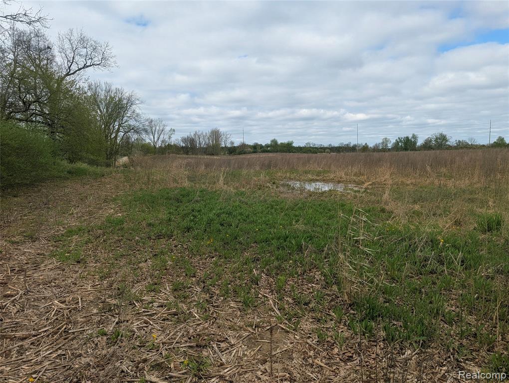 Parcel E Hogan Road, Linden, MI 48451 — Photo 13