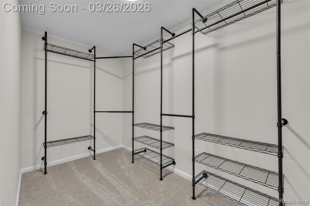 20051 Churchill Avenue, Brownstown, MI 48183 — Photo 43