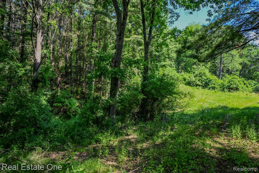 1832 W Commerce Road - Photo 4